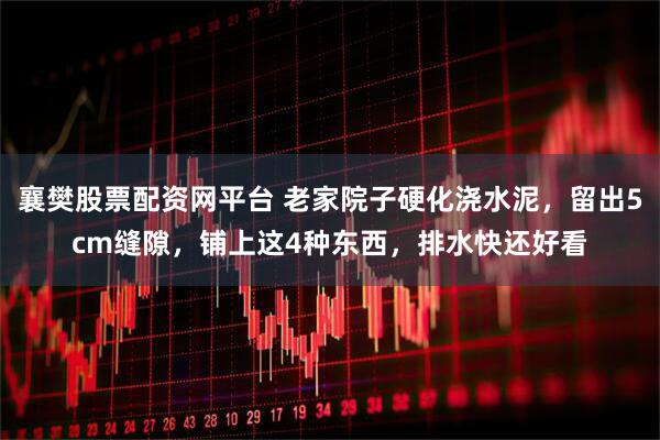 襄樊股票配资网平台 老家院子硬化浇水泥，留出5cm缝隙，铺上这4种东西，排水快还好看